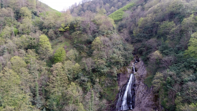 Karadeniz 'yeşil deniz' gibi